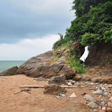 Thumbnail of pic_Lee_Shing_019.JPG