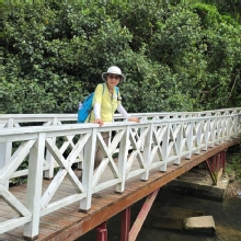 Thumbnail of pic_CW_Ho_040.jpg