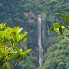 Thumbnail of pic_Derek_Wong_014.jpg