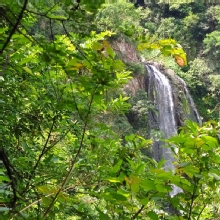 Thumbnail of pic_Derek_Wong_078.jpg