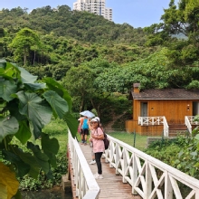Thumbnail of pic_KL_Sin_016.jpg
