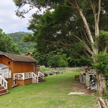 Thumbnail of pic_KL_Sin_018.jpg