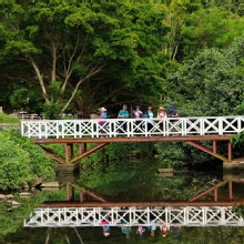 Thumbnail of pic_KL_Sin_026.jpg