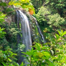 Thumbnail of pic_KL_Sin_044.jpg