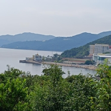 Thumbnail of pic_Mingle_Tam_012.jpg