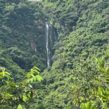 Thumbnail of pic_TB_Tung_002.JPG