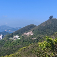 Thumbnail of pic_Cindy_Tse_007.jpg